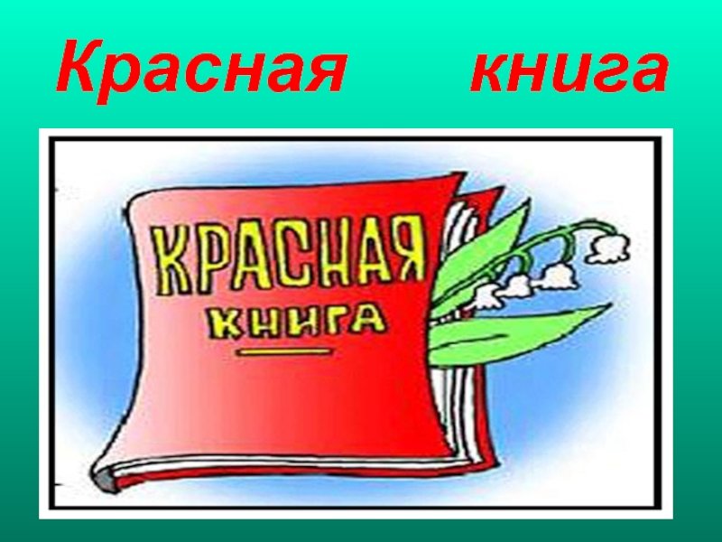 Красная книга рисунок