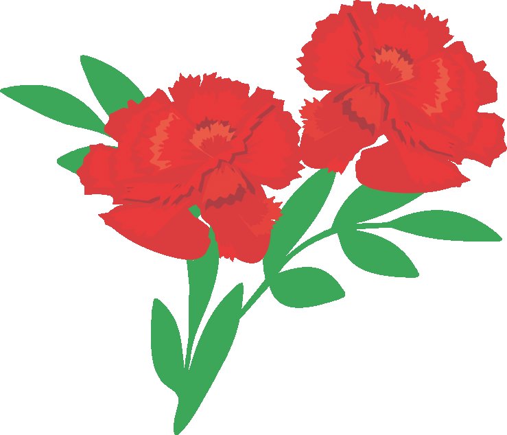 Цветы гвоздики для вырезания