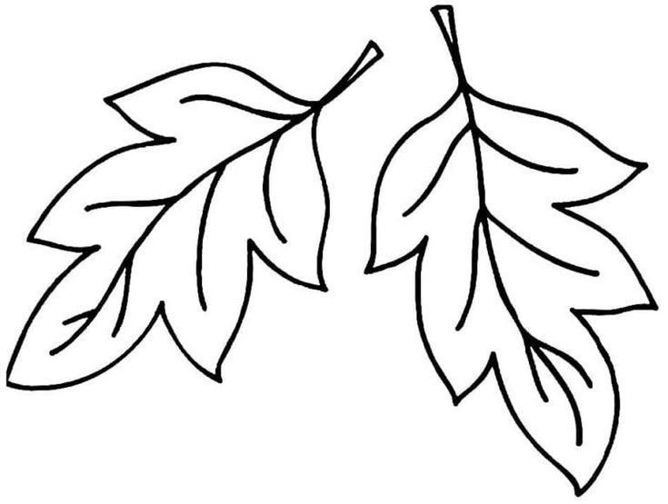 Трафареты листьев для вырезания из бумаги