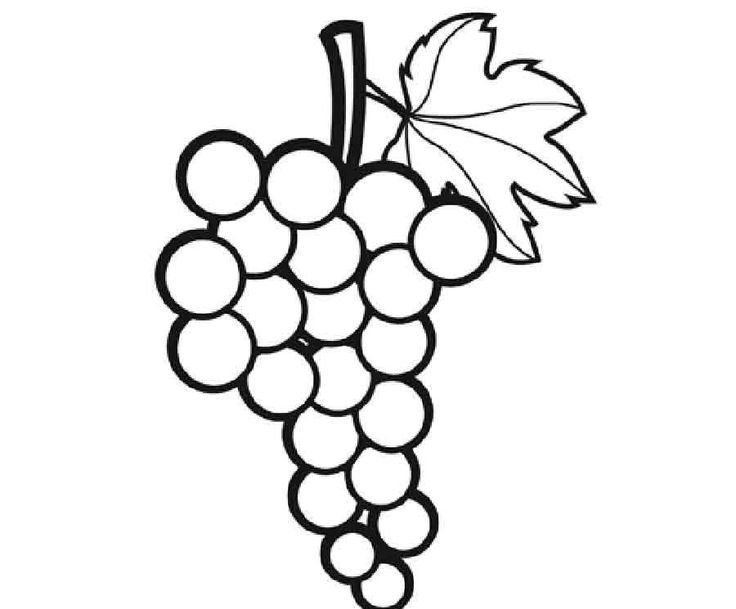 Виноград раскраска