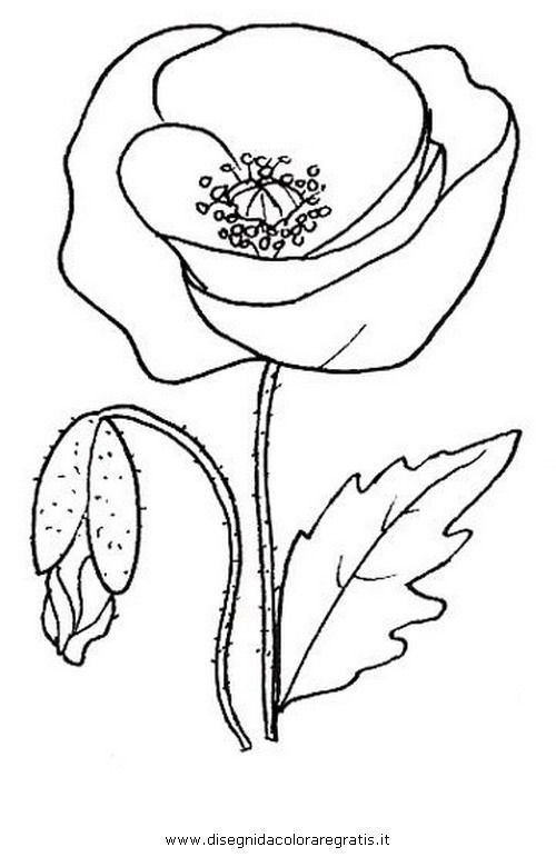 Цветы. Раскраска