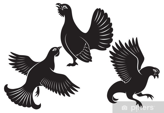 Силуэт глухаря