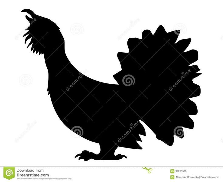 Трафарет тетерева