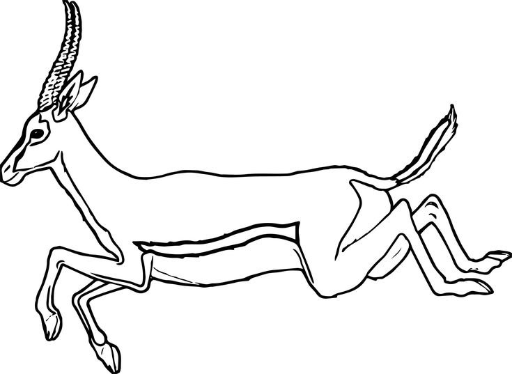 Раскраска Газель