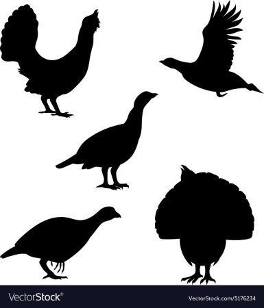 Раскрасить тетерева