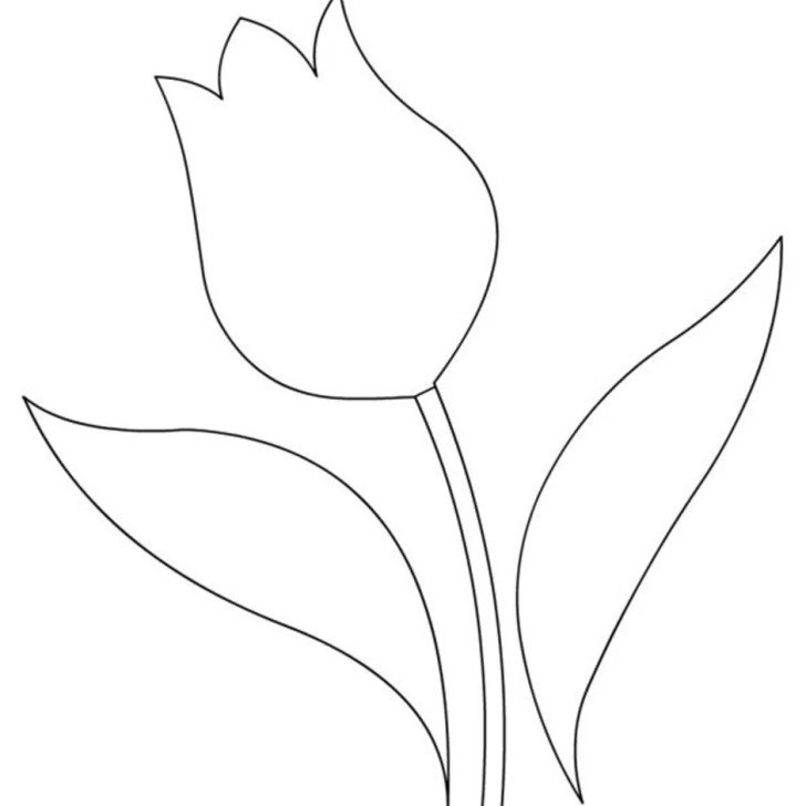 тюльпаны для открытки