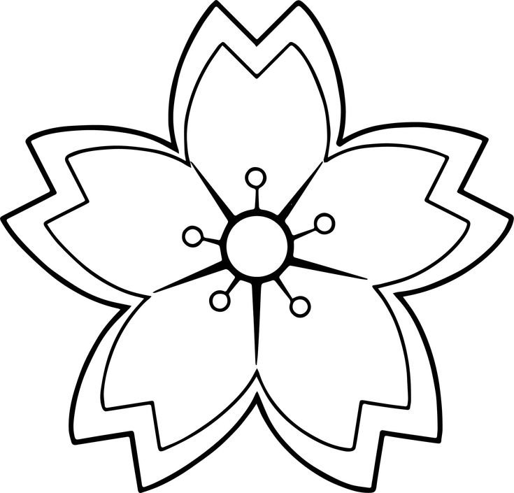Цветок контур
