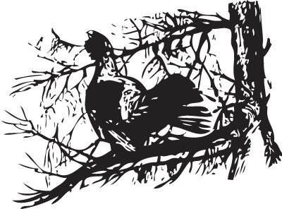 Охотничьи узоры