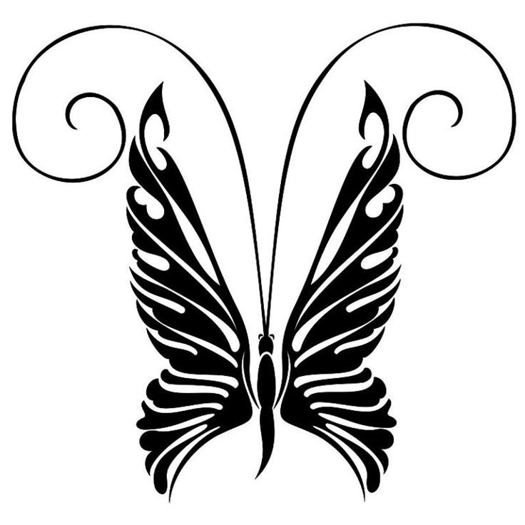 Бабочка рисунок трафарет