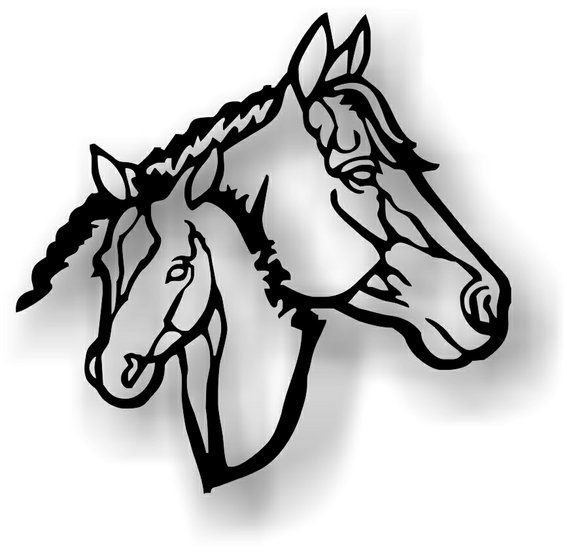 Выжигание по дереву лошади