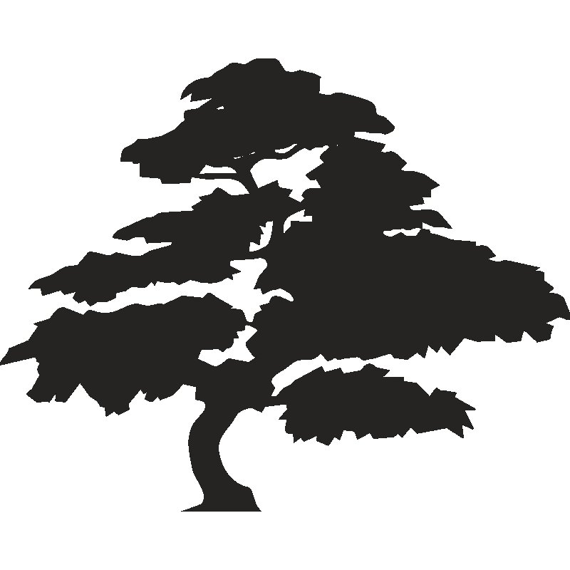 Очертание дерева