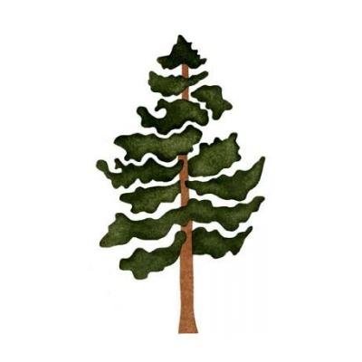 Сосна для вырезания