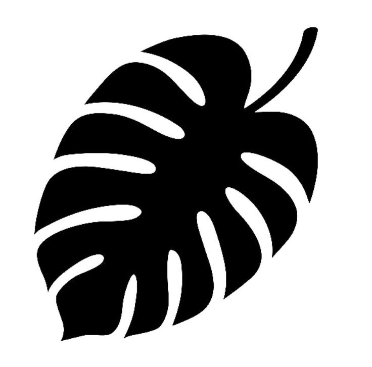 Лист монстеры вектор