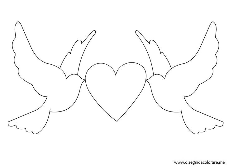 Голубь раскраска