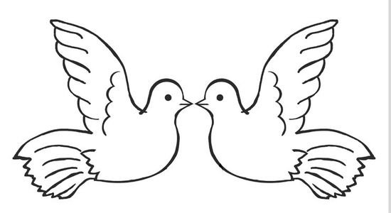 голуби с сердцем