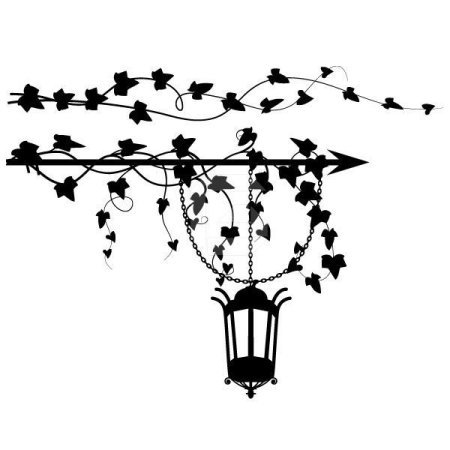 Плющ рисунок