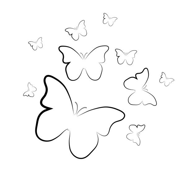 Бабочка контур