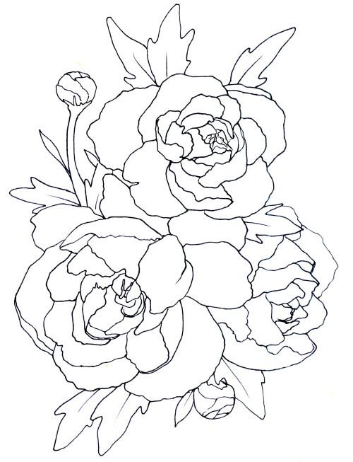 Трафарет пионы для рисования