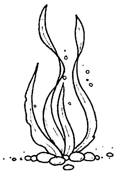 Водоросли трафарет