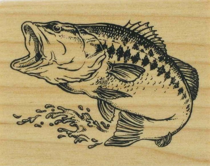 Выжигание по дереву рыба