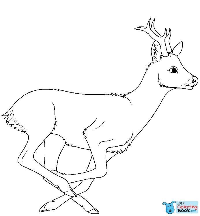 Олень раскраска для детей