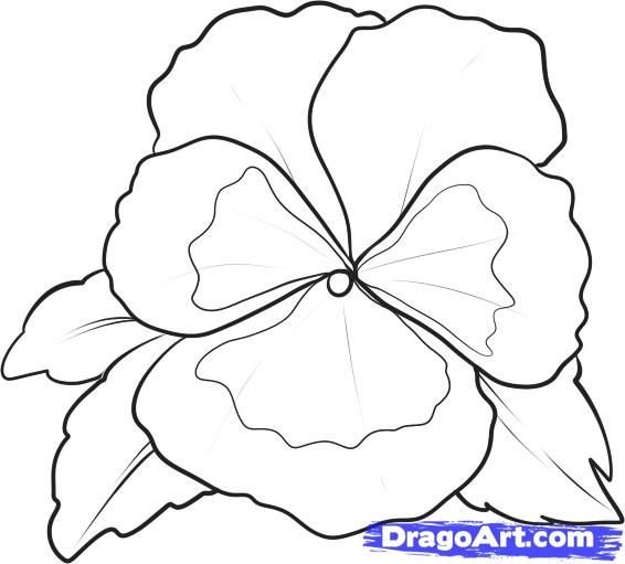 Цветы трафарет для рисования