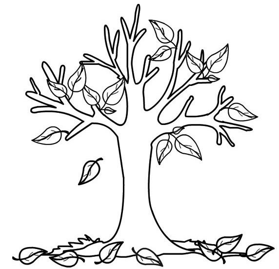 Осеннее дерево раскраска для детей