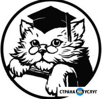 Кот ученый логотип