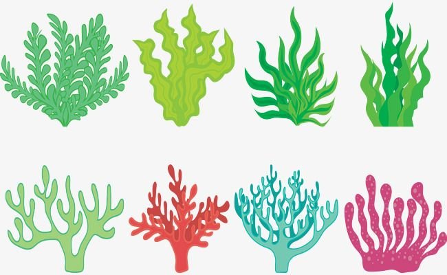 Водоросли для вырезания