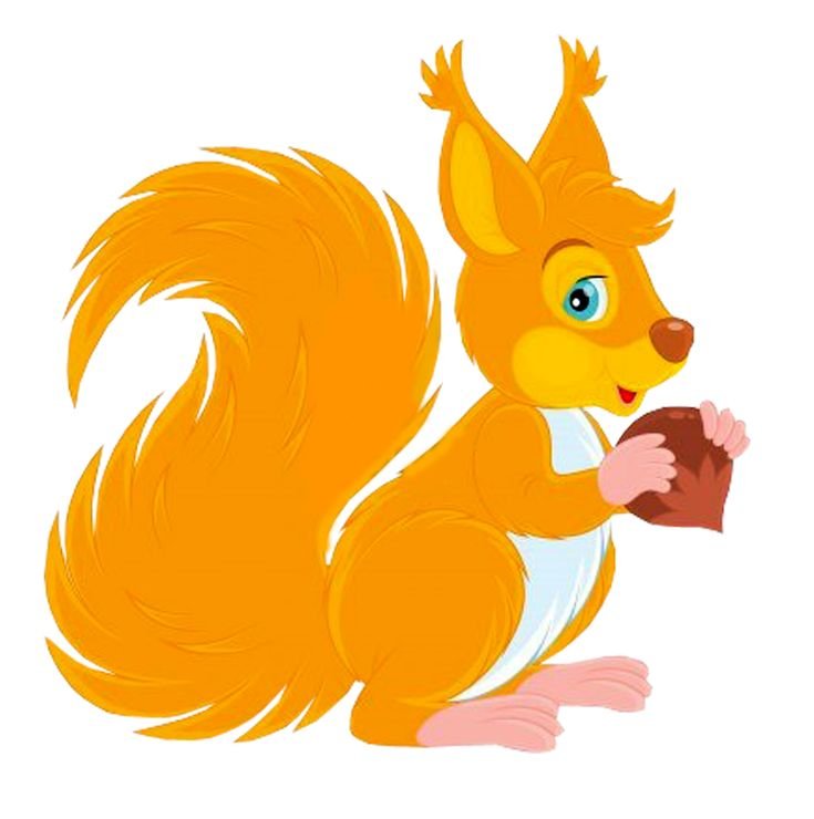 Белочка картинка для детей