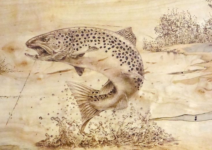 Рыбы для выживания поереву