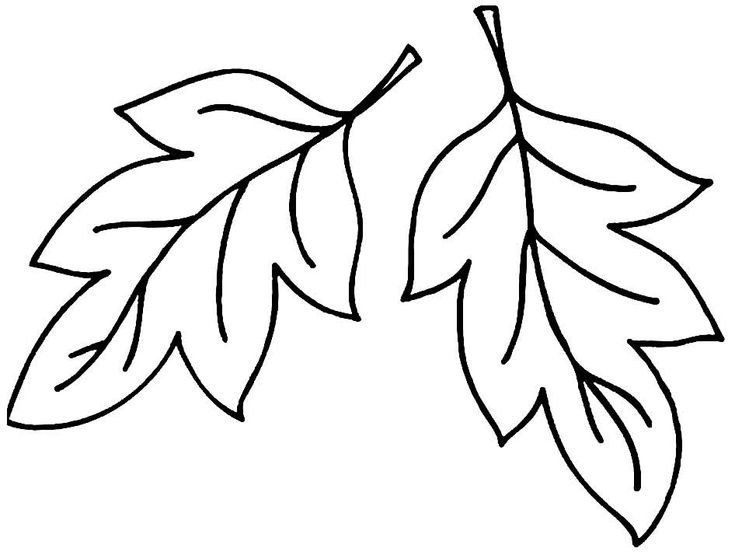 Трафарет осенних листьев