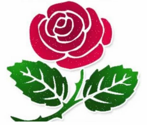 Розы для вырезания