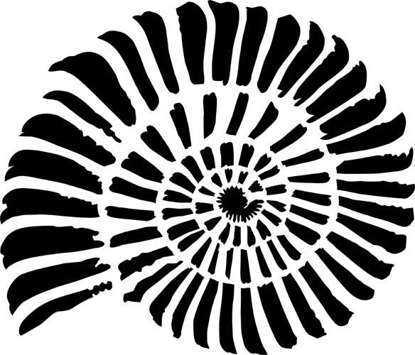 Ракушка трафарет