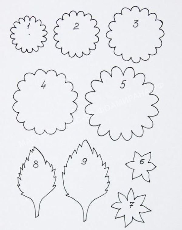 Цветы из фоамирана шаблоны