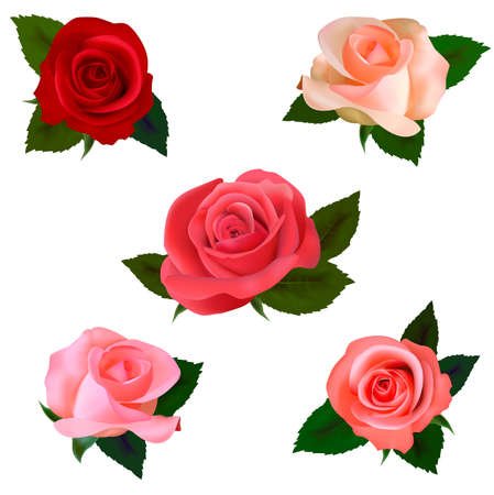 Розочки для вырезания цветные