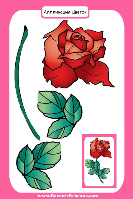 Трафареты цветов цветные