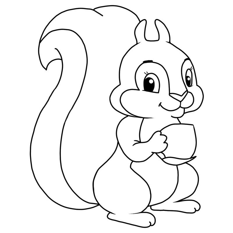 Раскраска Белочка