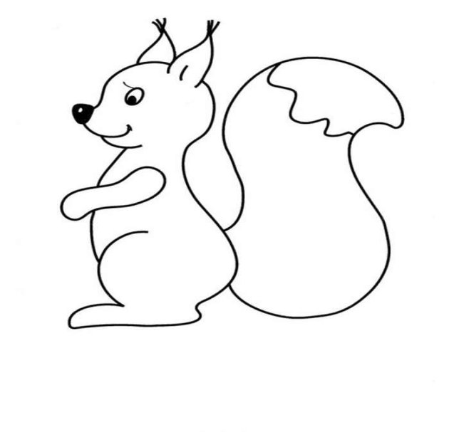 Белка раскраска для детей