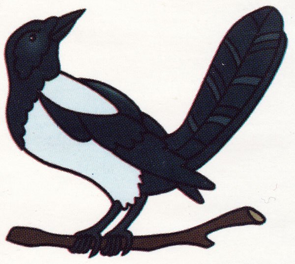 Сорока рисунок для детей