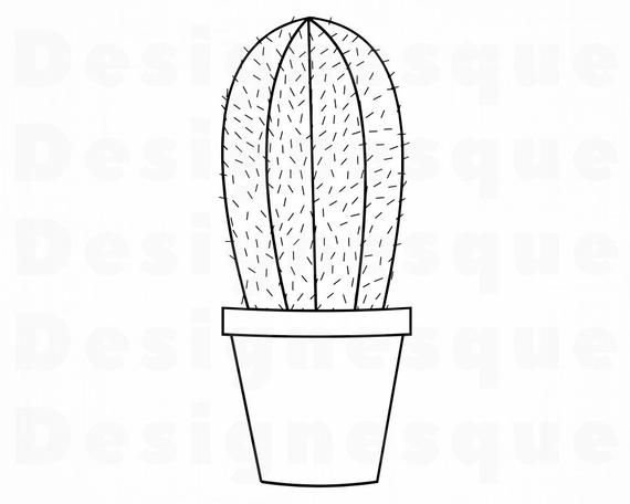 Раскраска Кактус в горшке