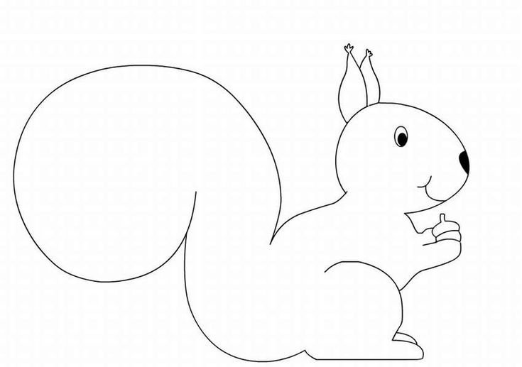 Трафарет белки для аппликации