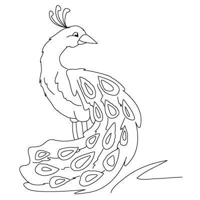 Жар птица раскраска для детей