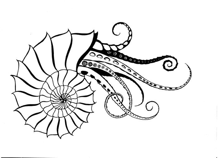 Раскраска Аммонит