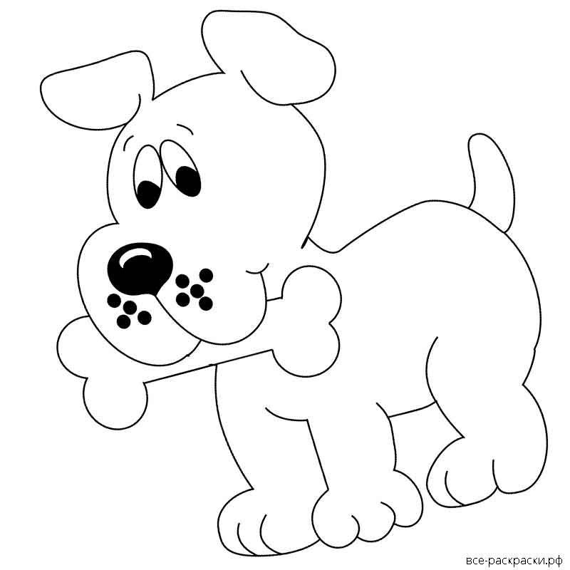 Раскраска малышам «собачка»