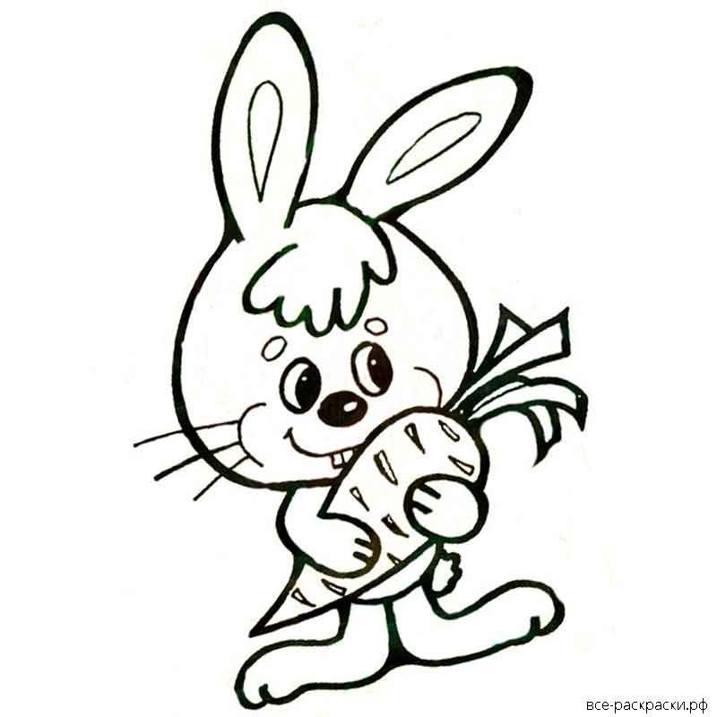 Раскраска заяц с морковкой для детей