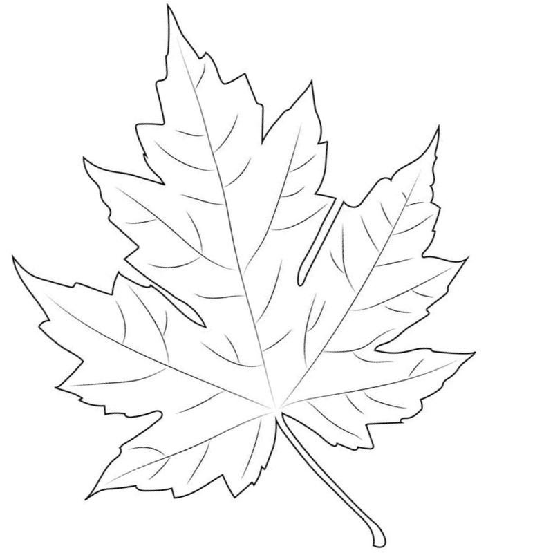 Трафареты "листья"