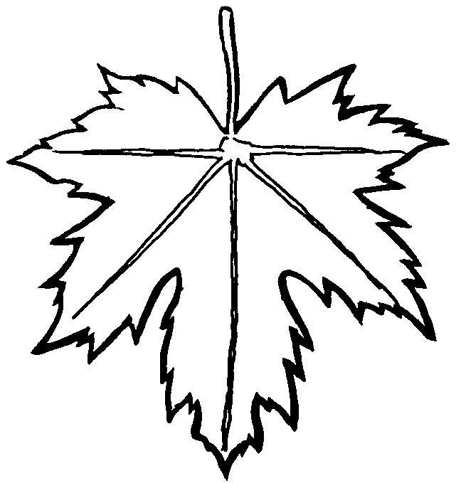 Трафарет кленовых листьев для вырезания