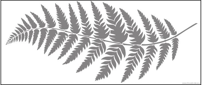 Ветка папоротника