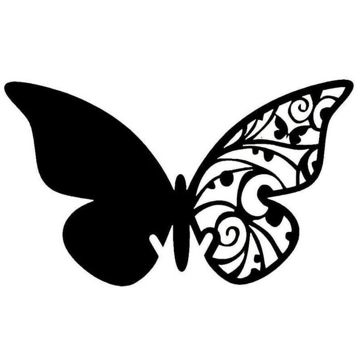 Трафареты бабочки
